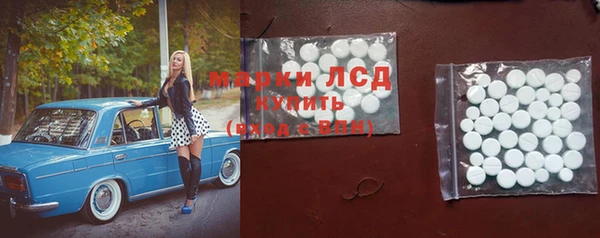 экстази Бородино