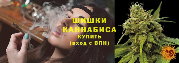 экстази Бородино