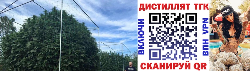 Дистиллят ТГК Wax  нарко площадка формула  Дальнегорск 